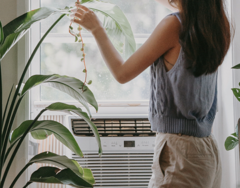 Eine Person steht vor einer Elektro-Speicherheizung in einer hellen Wohnung mit Zimmerpflanzen.